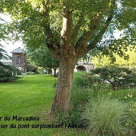 Studio Tarbes Marcadieu 外观 照片