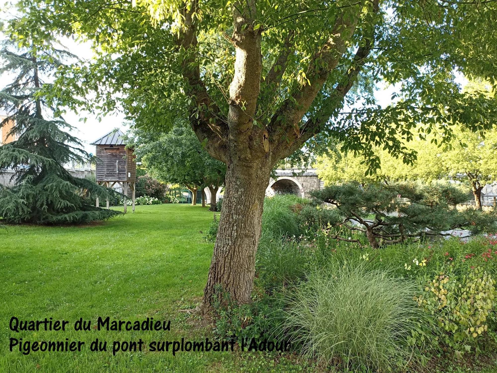 Studio Tarbes Marcadieu 外观 照片